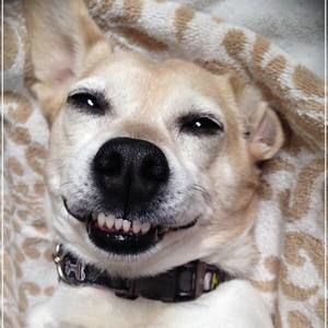 Meet your Posher, Jayne